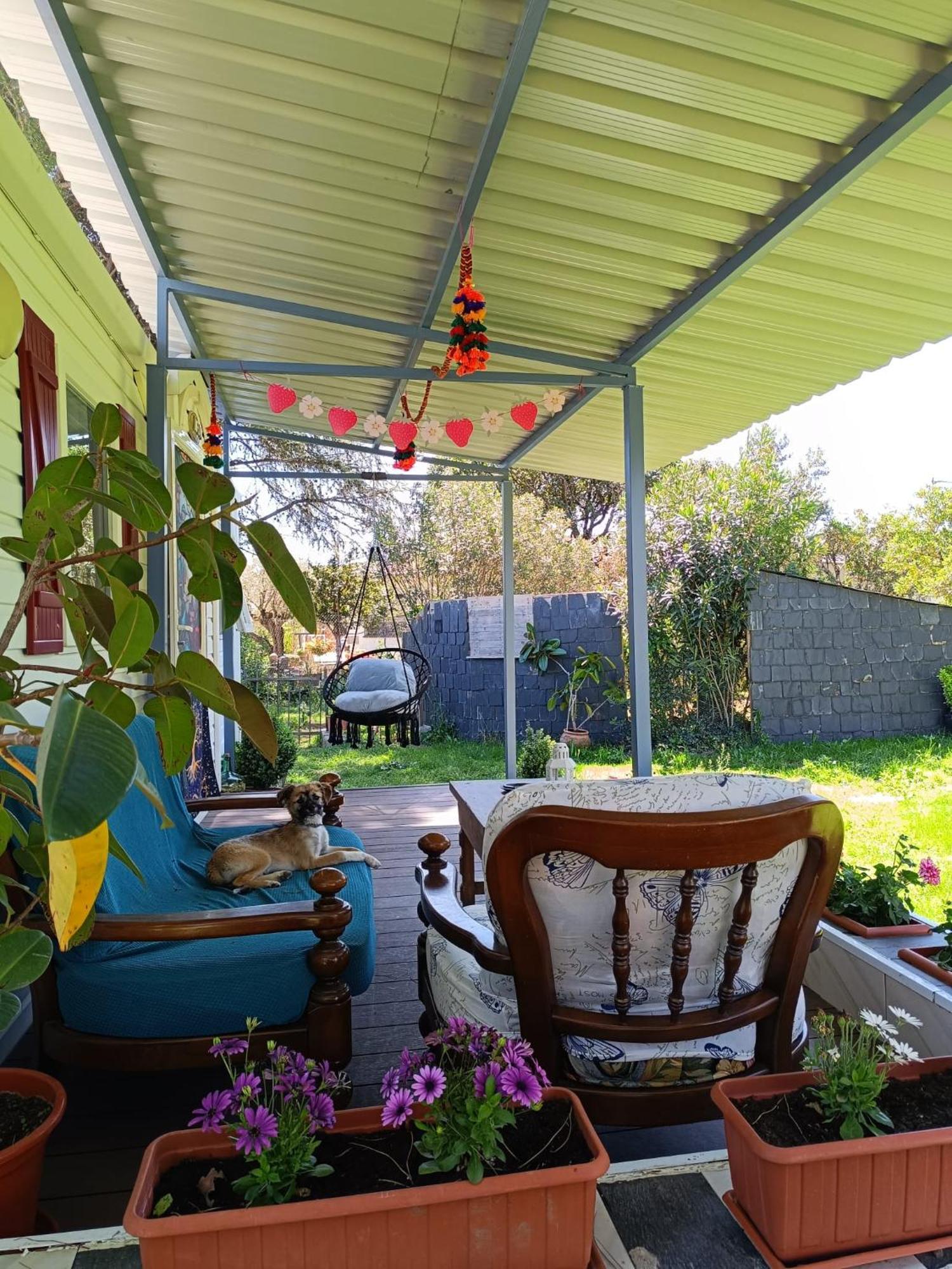 לה אדראדה Villa Ardilla מראה חיצוני תמונה